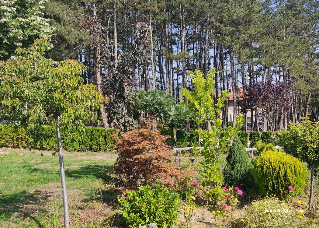 (4600) Velingrad - 51 ulitsa — foto 2