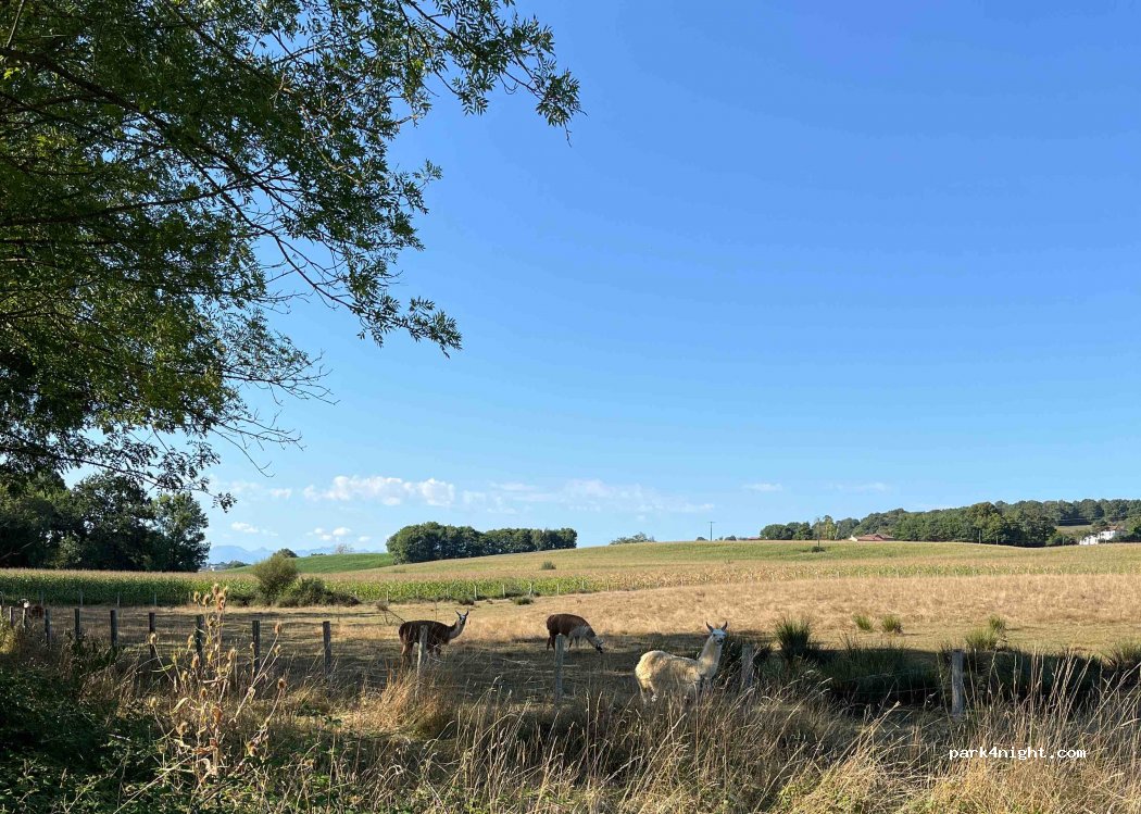 (65220) Sère-Rustaing - — foto
