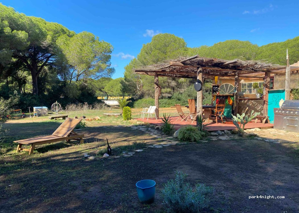 Finca Las Piñas — foto 5