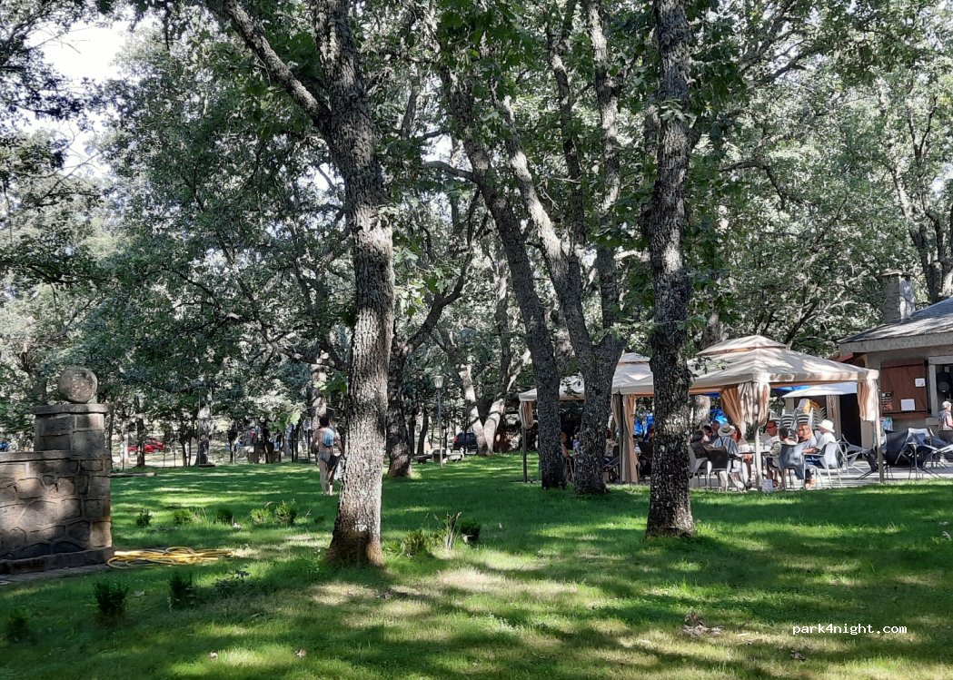 La Dehesa, Acampada y Autocaravanas — foto 4