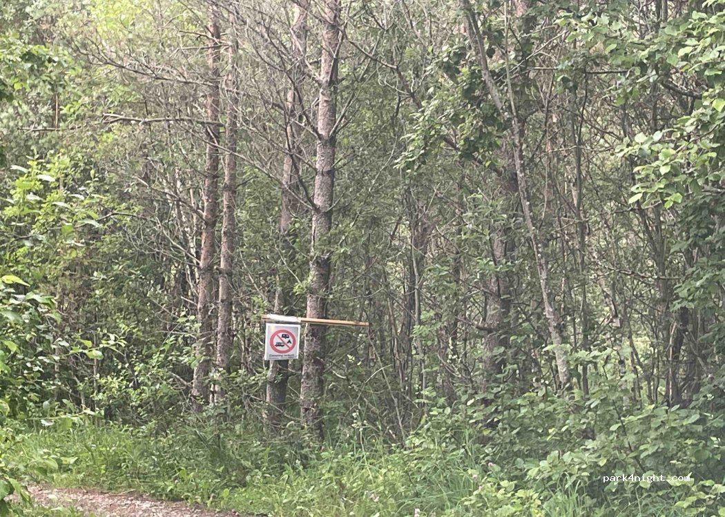 () Elnesvågen - — foto