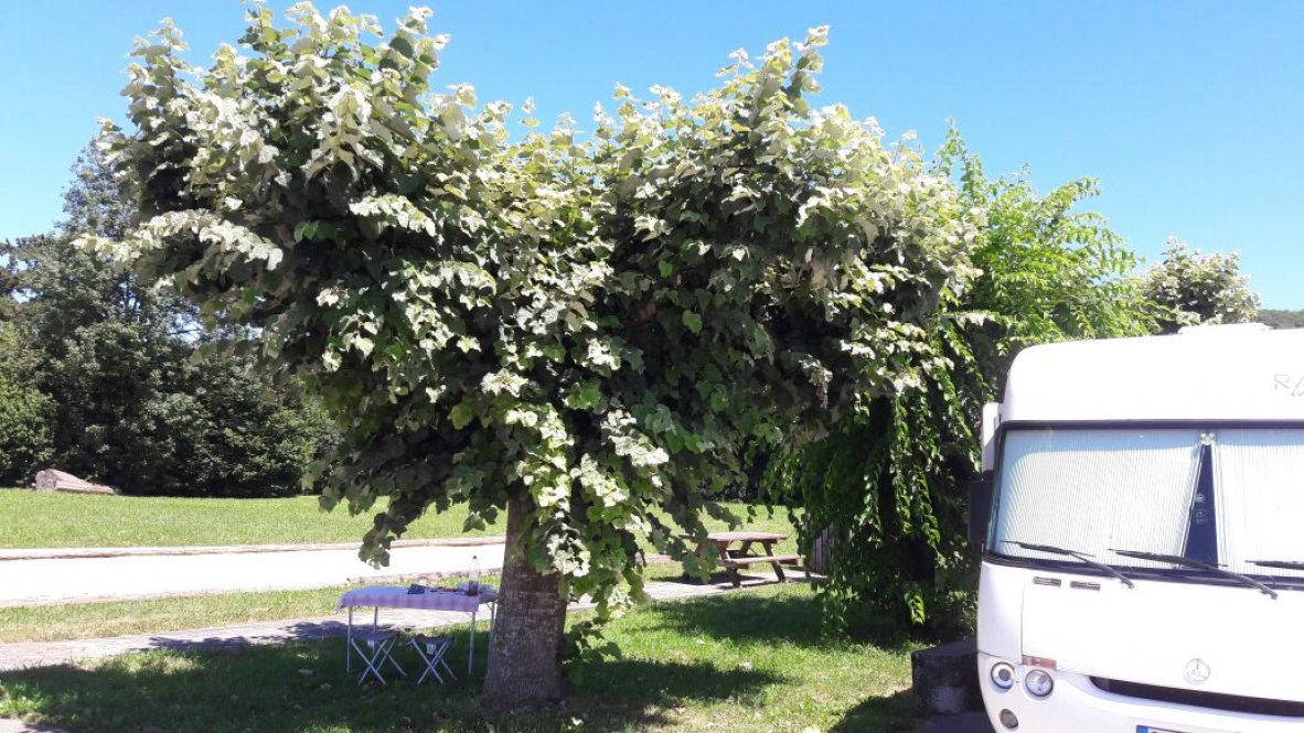 (39600) Les Arsures - 10 Lotissement À la Motte — foto