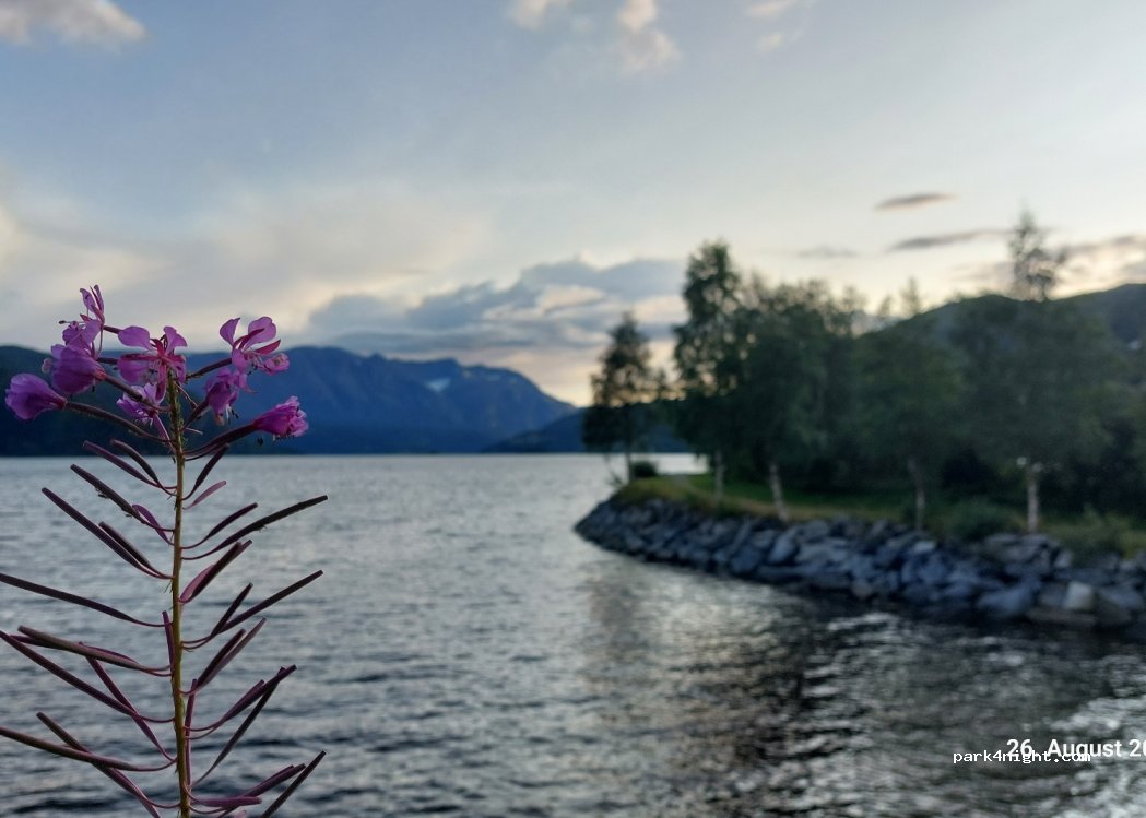 (6817) Naustdal - 2 Fjordavegen — foto 3