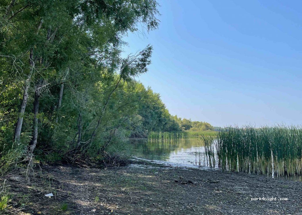 (423564) Kamskie Polyany - — foto