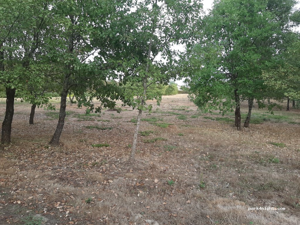 geoSPOT — foto 4