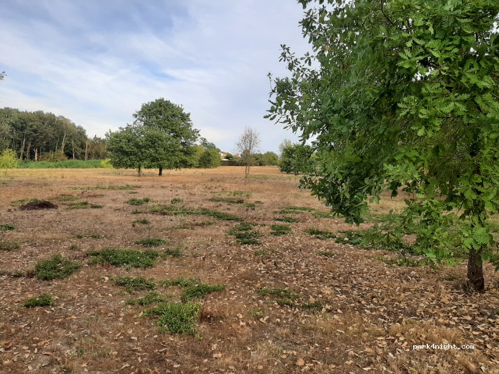 geoSPOT — foto 5