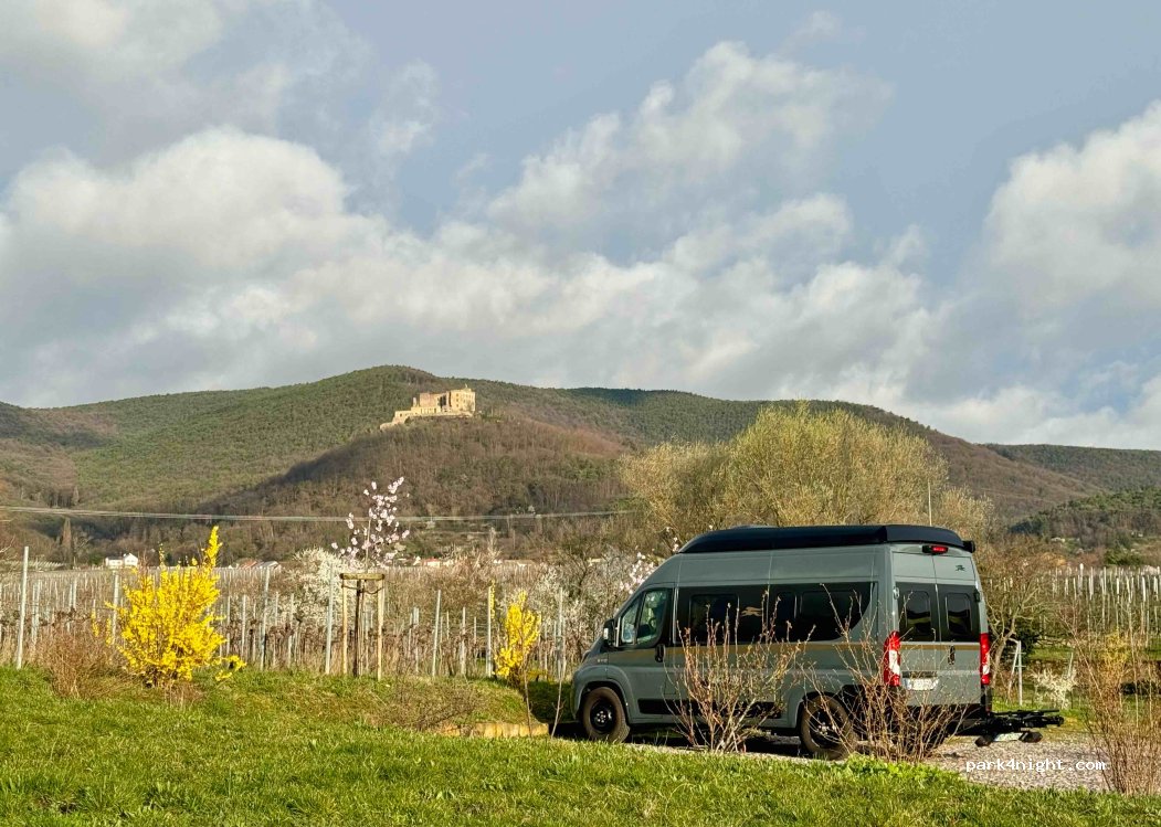 Weingut Ökonomierat Isler — foto 4