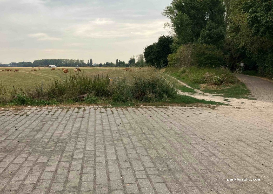 (67240) Bobenheim-Roxheim - Unnamed Road — foto