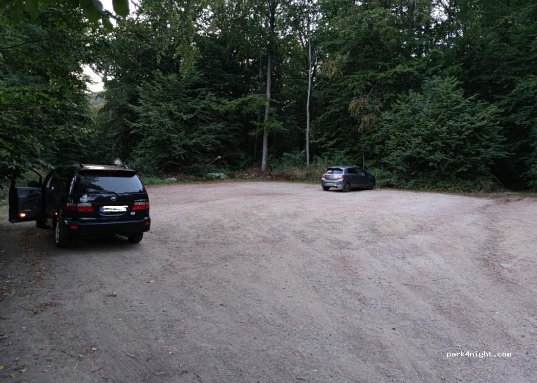 (31832) Springe - 6 Waldweg — foto