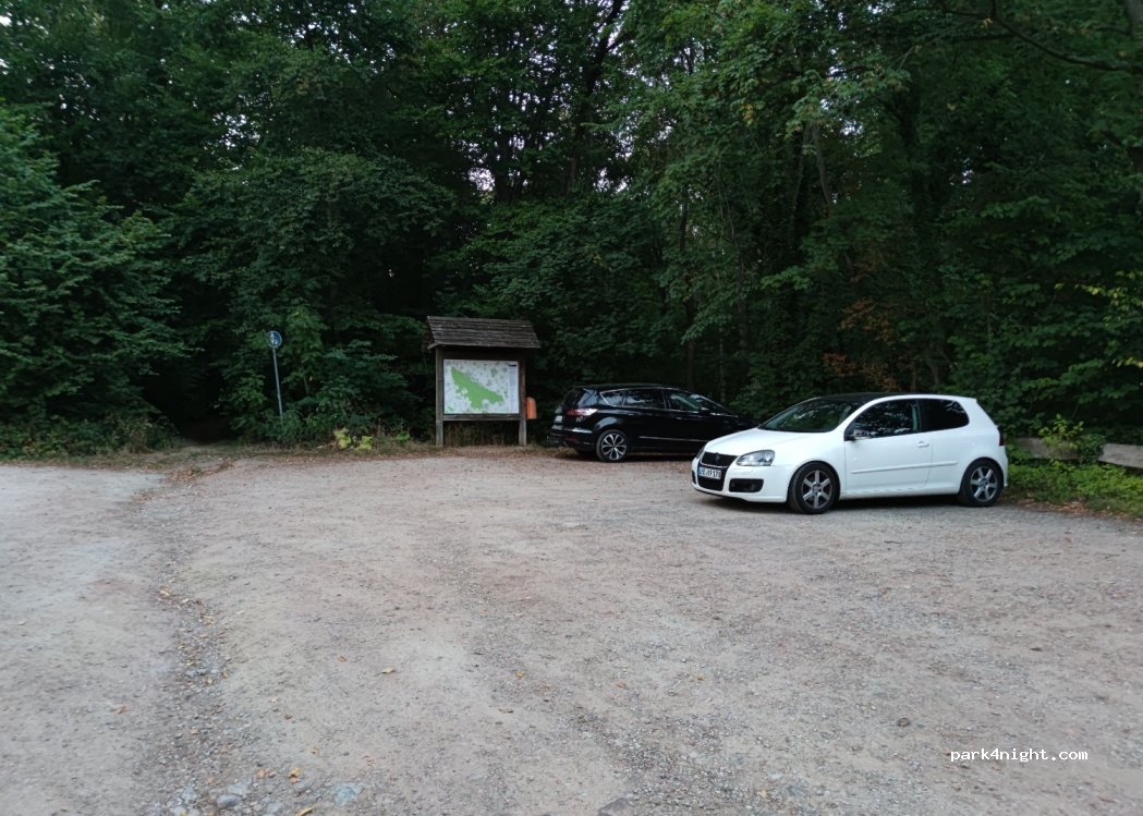 (31832) Springe - 6 Waldweg — foto 2