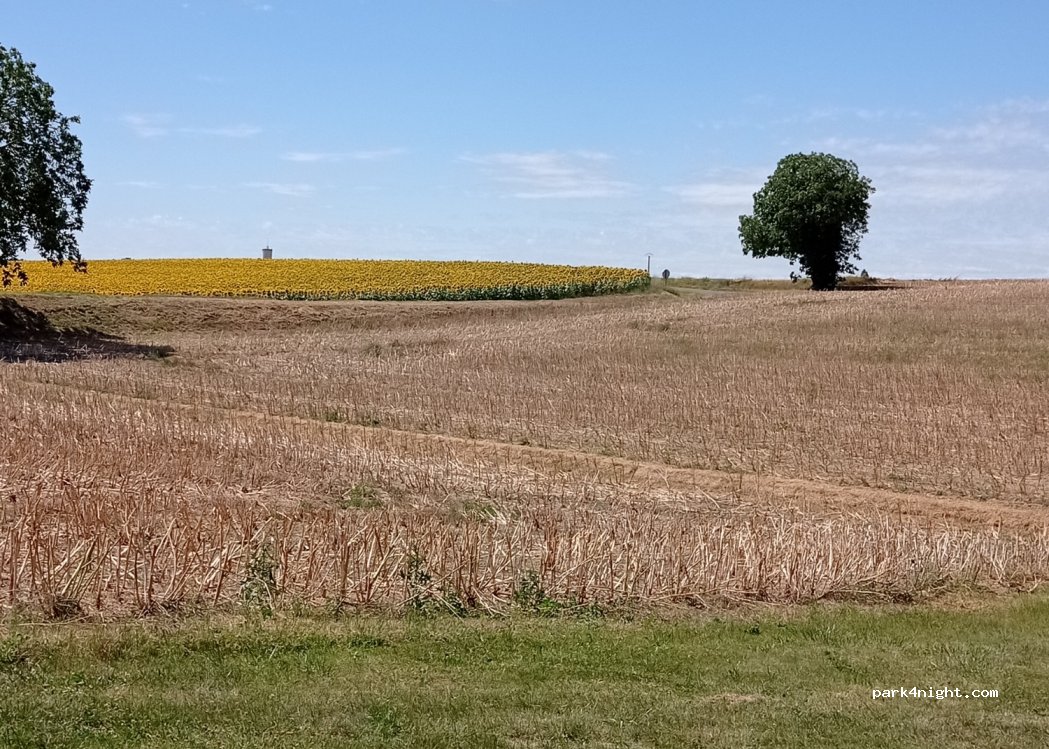 (49700) Les Ulmes - D175 — foto 2