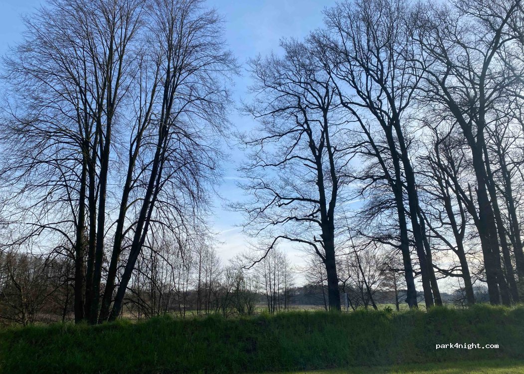 Campingplatz Niemeyer — foto