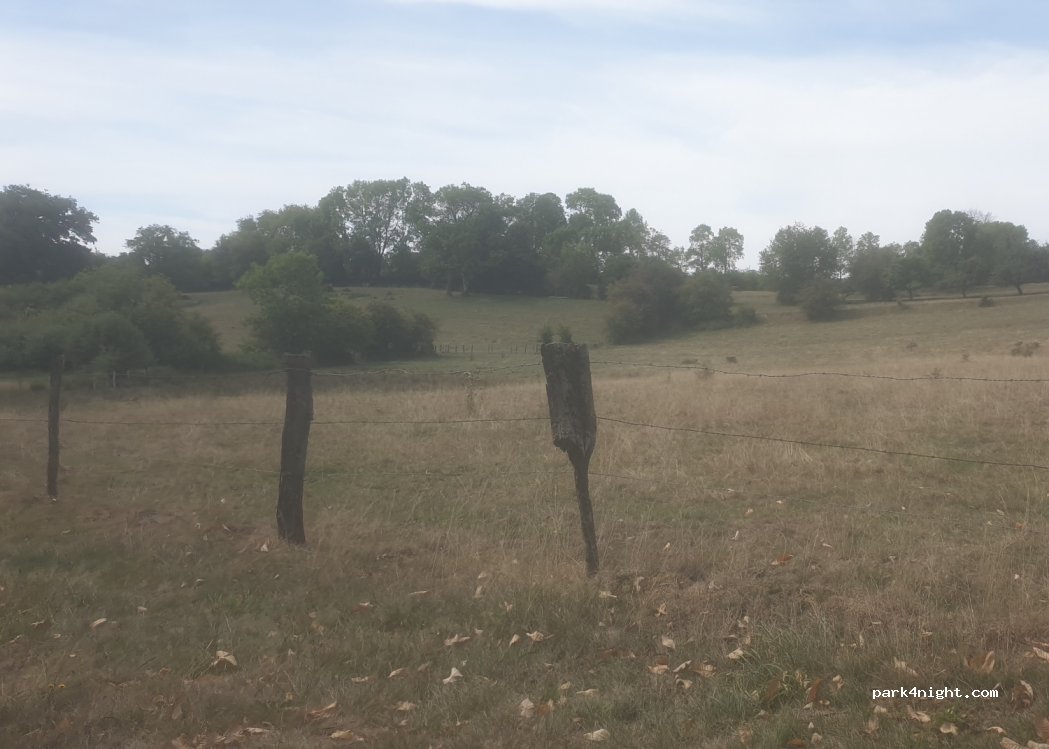 (88240) Gruey-lès-Surance - — foto 2