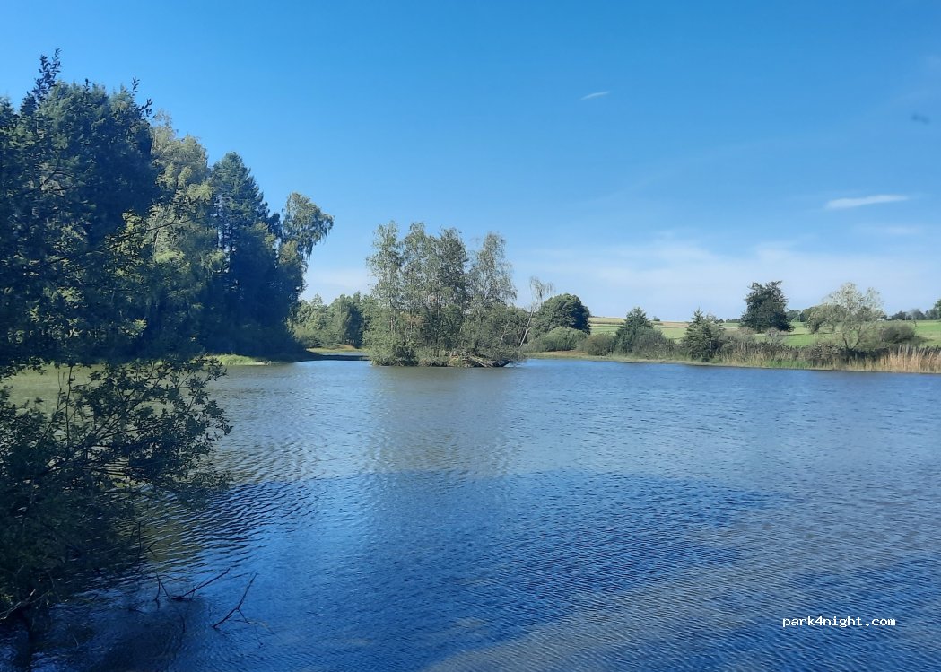 (88240) Gruey-lès-Surance - — foto 4