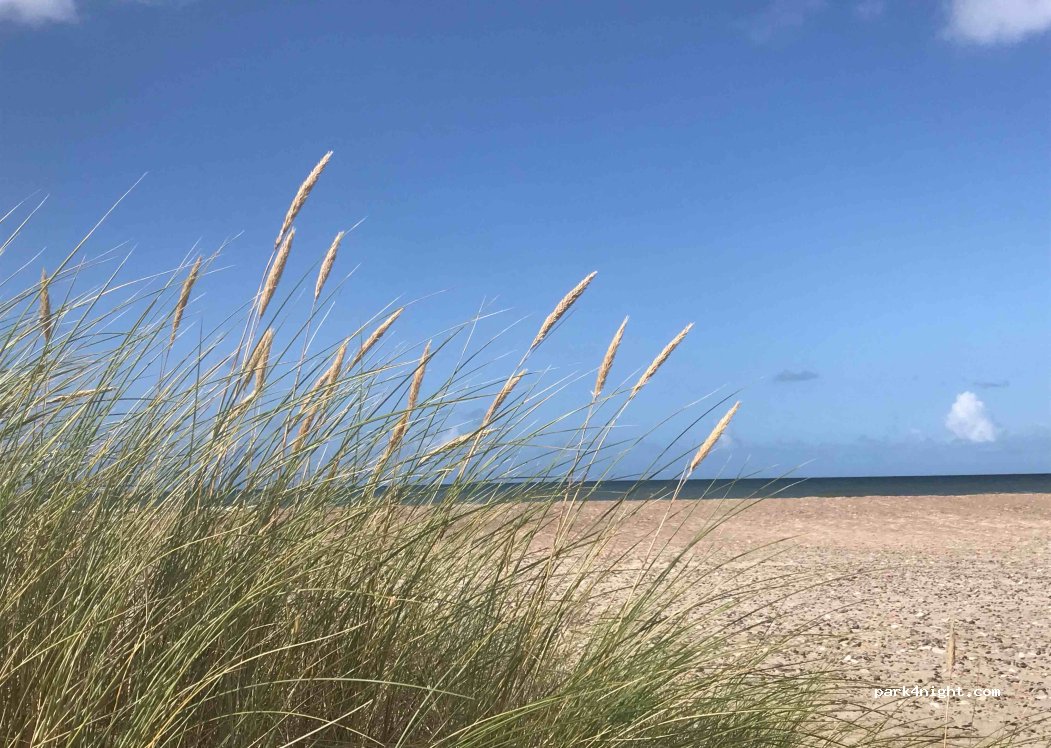 (9690) Fjerritslev - 230 Grønnestrandsvej — foto 2