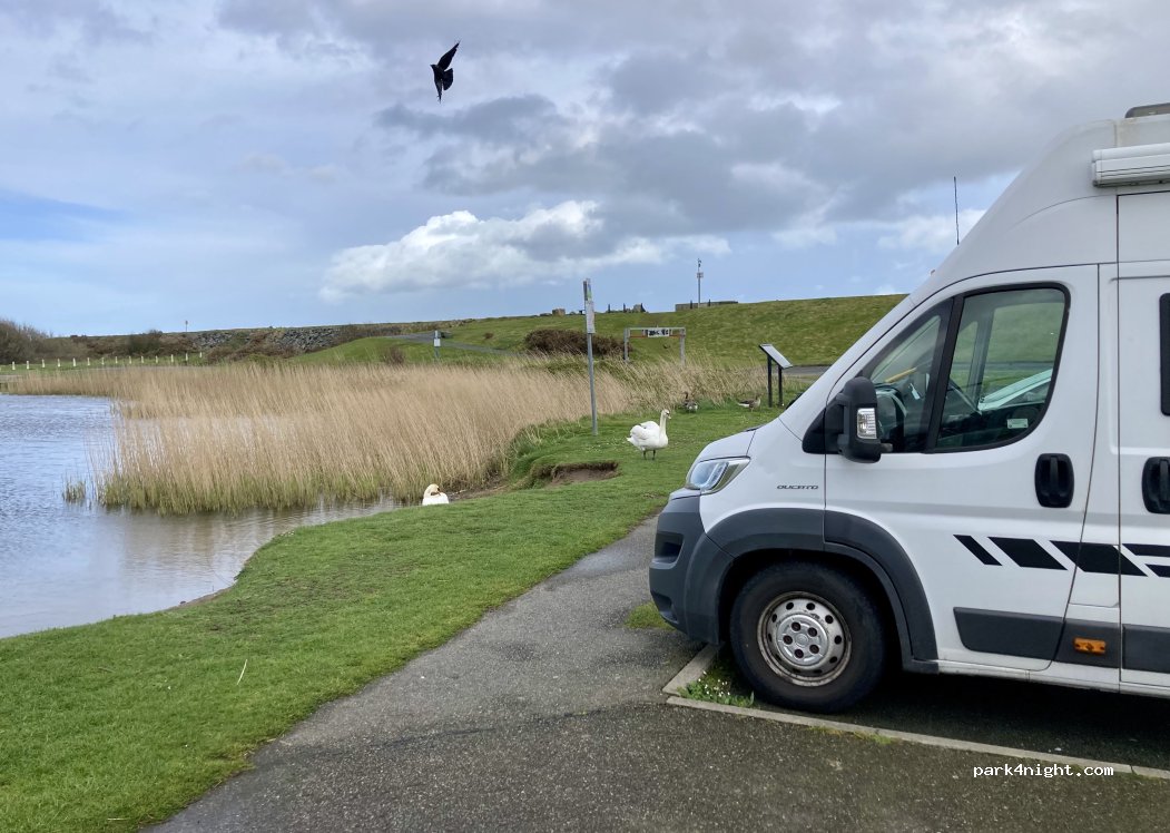 (Y14 ND29) Arklow - Seaview Avenue — foto 5