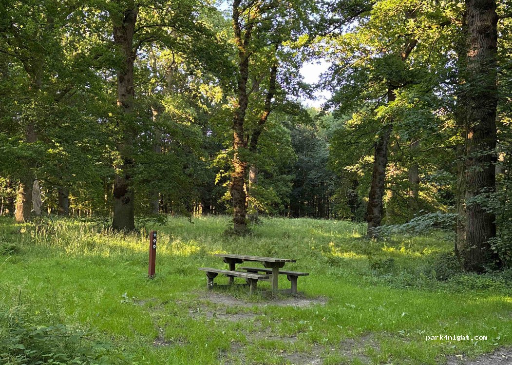 (6430) Nordborg - 9 Langdyssevej — foto 2