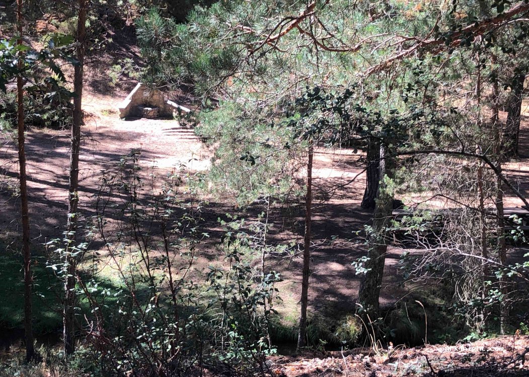(42140) San Leonardo de Yagüe - SO-P-6001 — foto