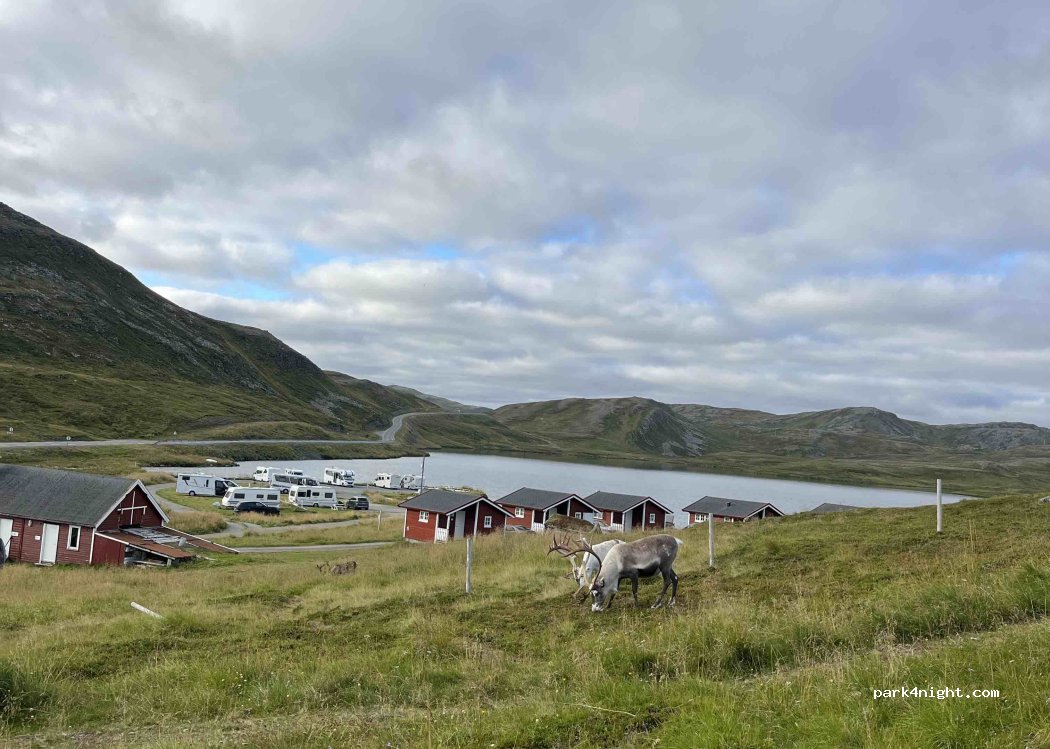 Kirkeporten Camping — foto 5