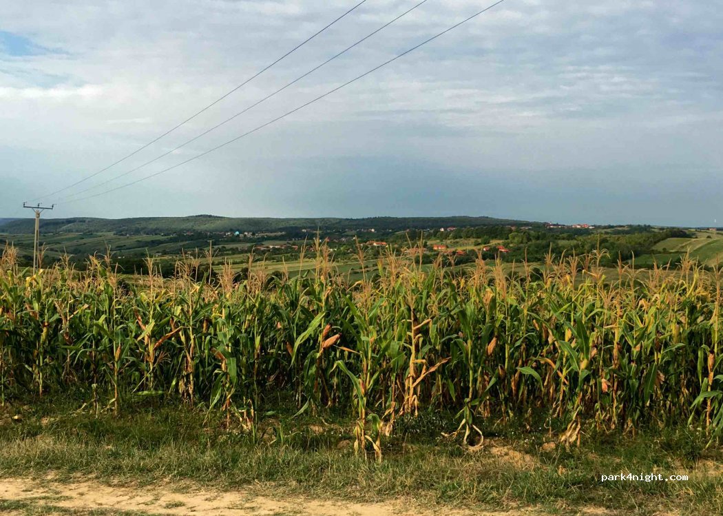 (417263) Tășad - Unnamed Road — foto