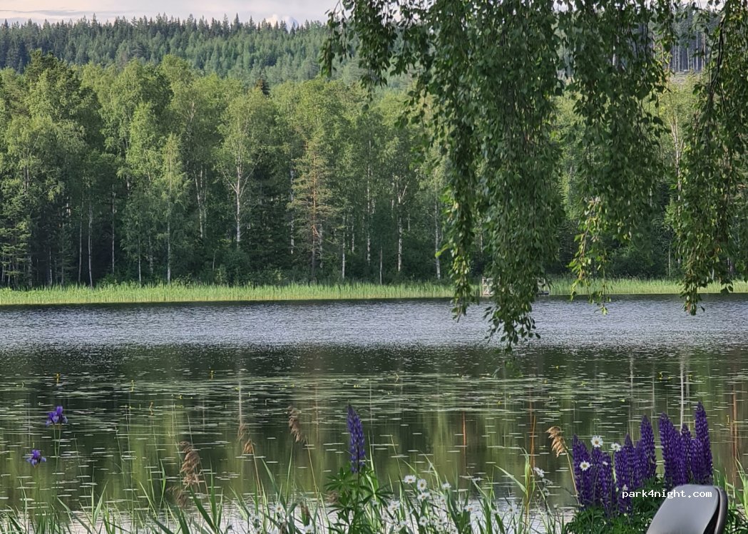 Lumshedens Camping — foto