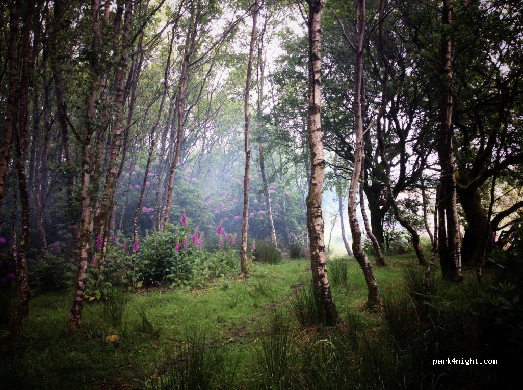(EX20 4BL) Lydford - The Station — foto 5