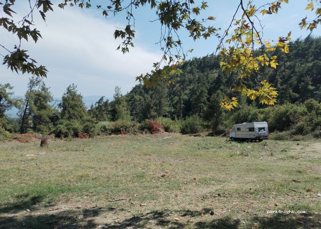 (17500) Pazarlı - — foto