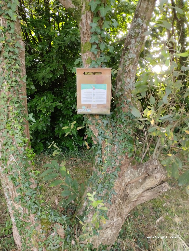 geoSPOT — foto 5