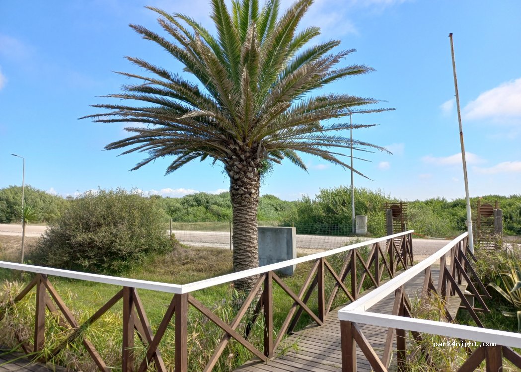 ALMA Cervejaria.Bar — foto