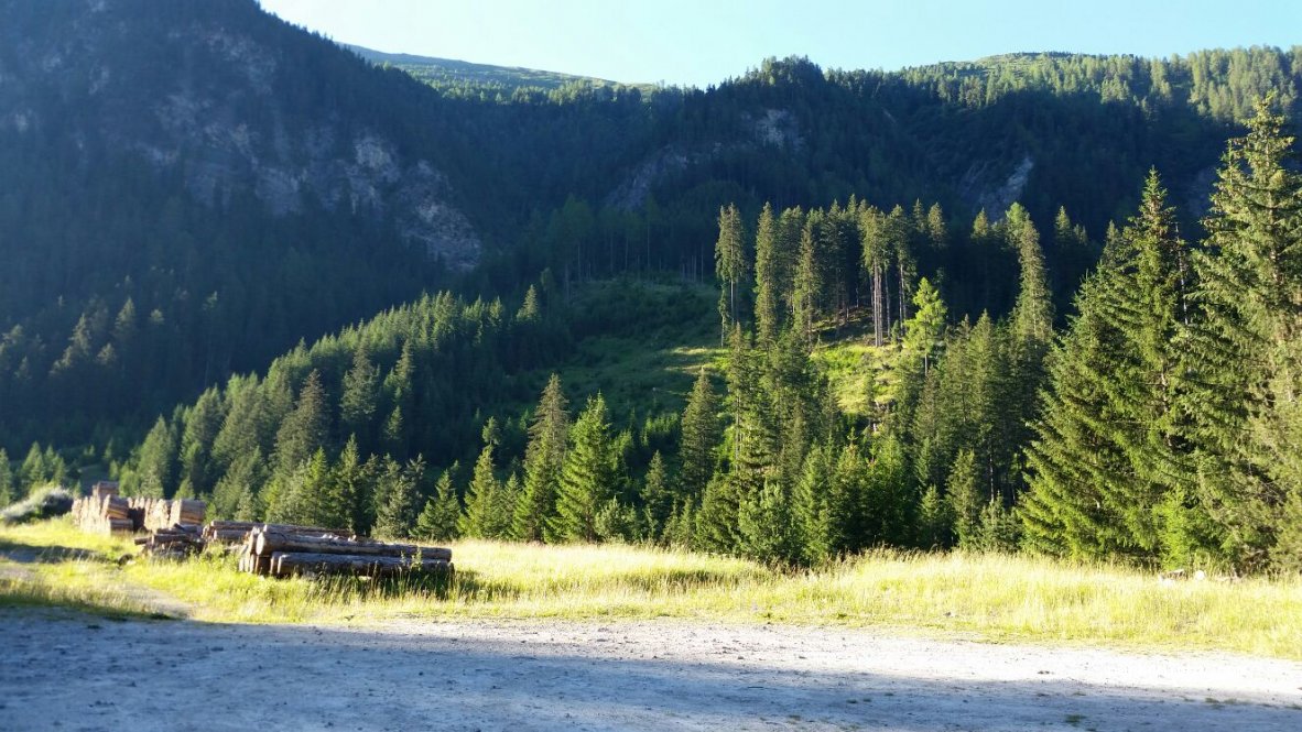 (7482) Bergün/Bravuogn - Latsch — foto 2