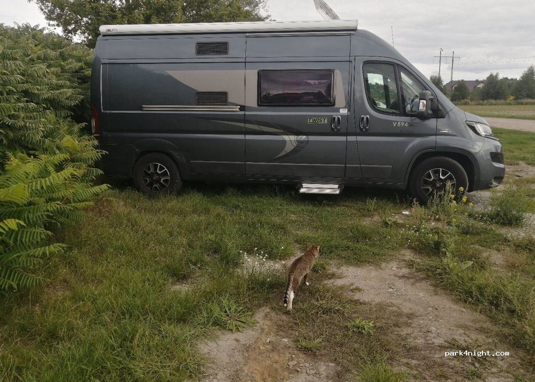 (62) Szałe - — foto 2