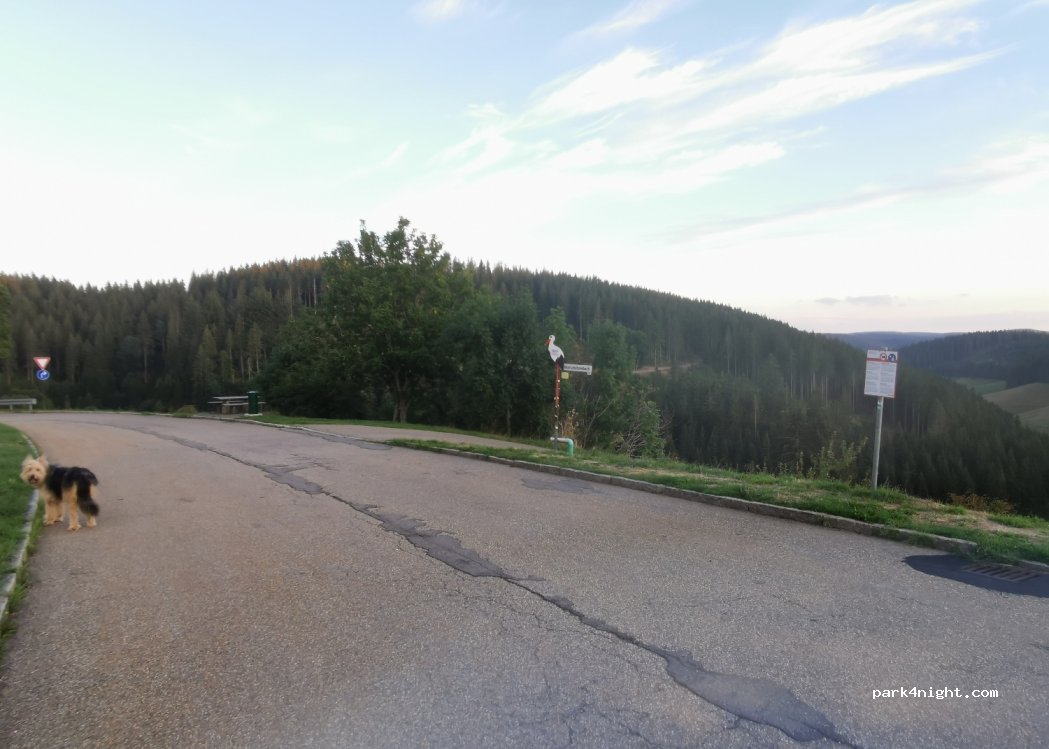 (78120) Furtwangen im Schwarzwald - 40 B500 — foto 2