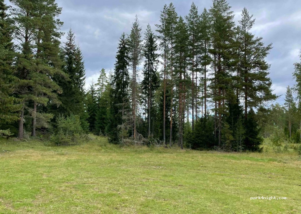 (795 32) Rättvik - Unnamed Road — foto