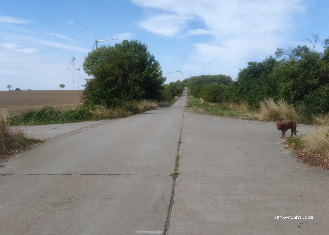 (99880) Teutleben - Unnamed Road — foto 4