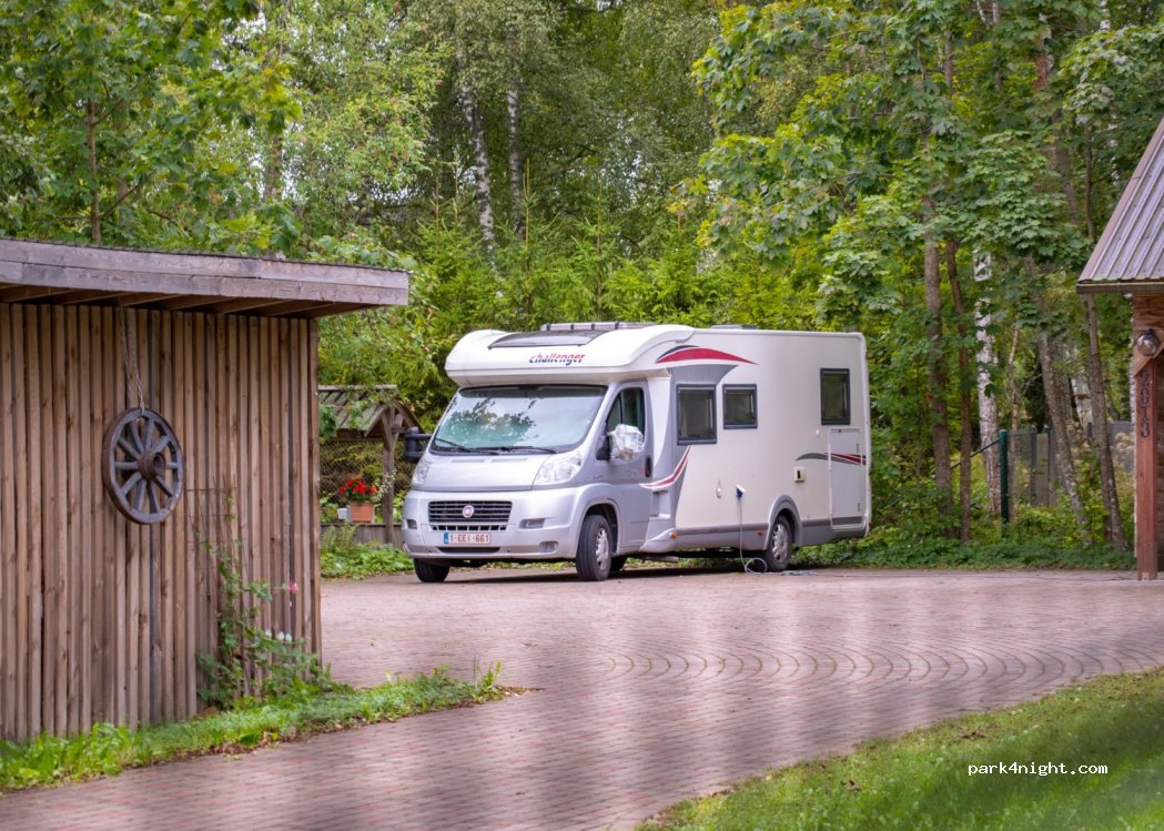 (91006) Kärbla - — foto