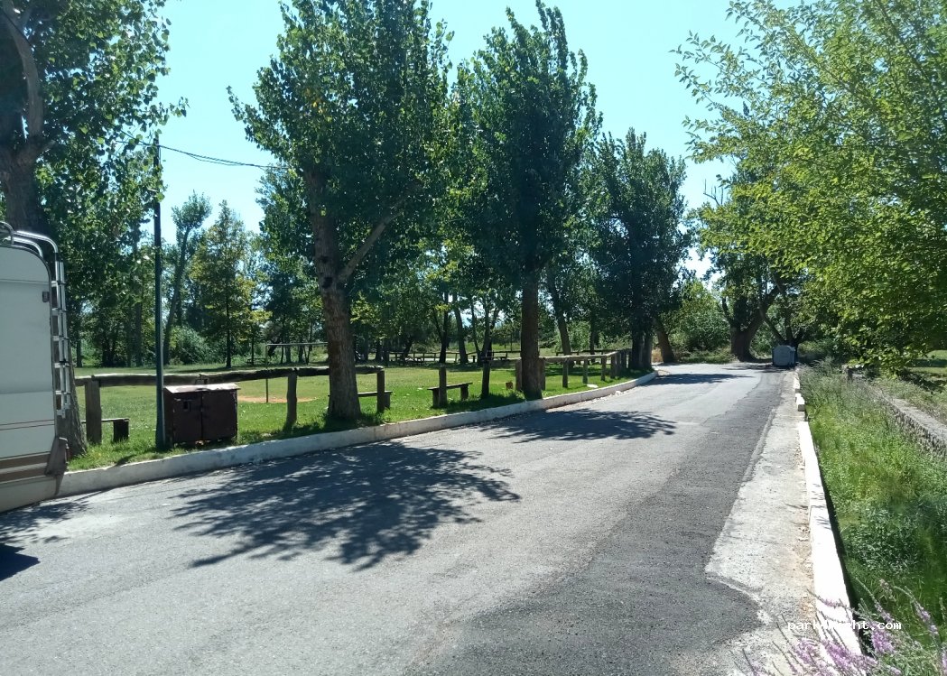 (240 09) Pidima - Επαρ.Οδ. Αγίου Κωστάντινου — foto