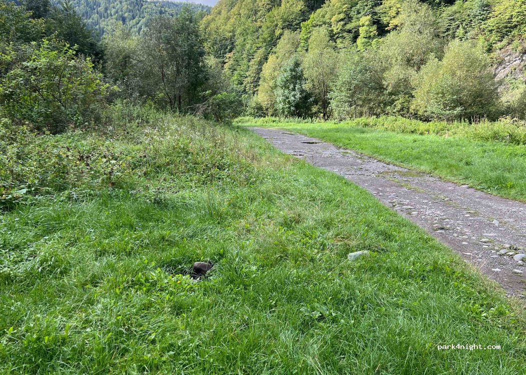 (547382) Sălard - — foto