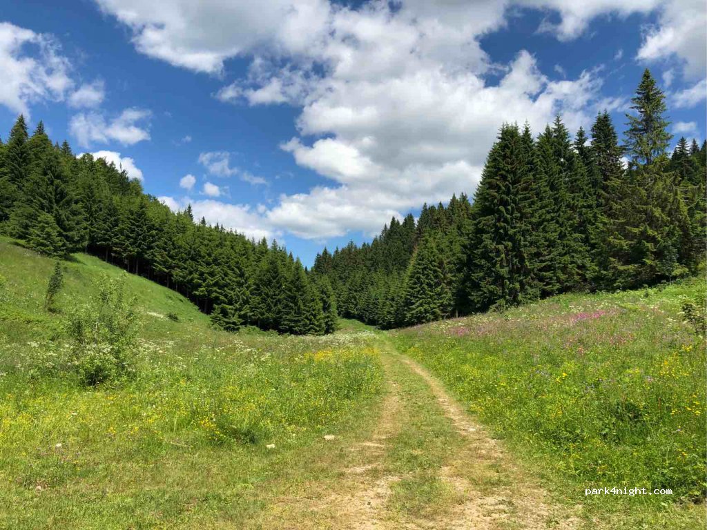 (39310) Lamoura - 835 Route de Lajoux — foto