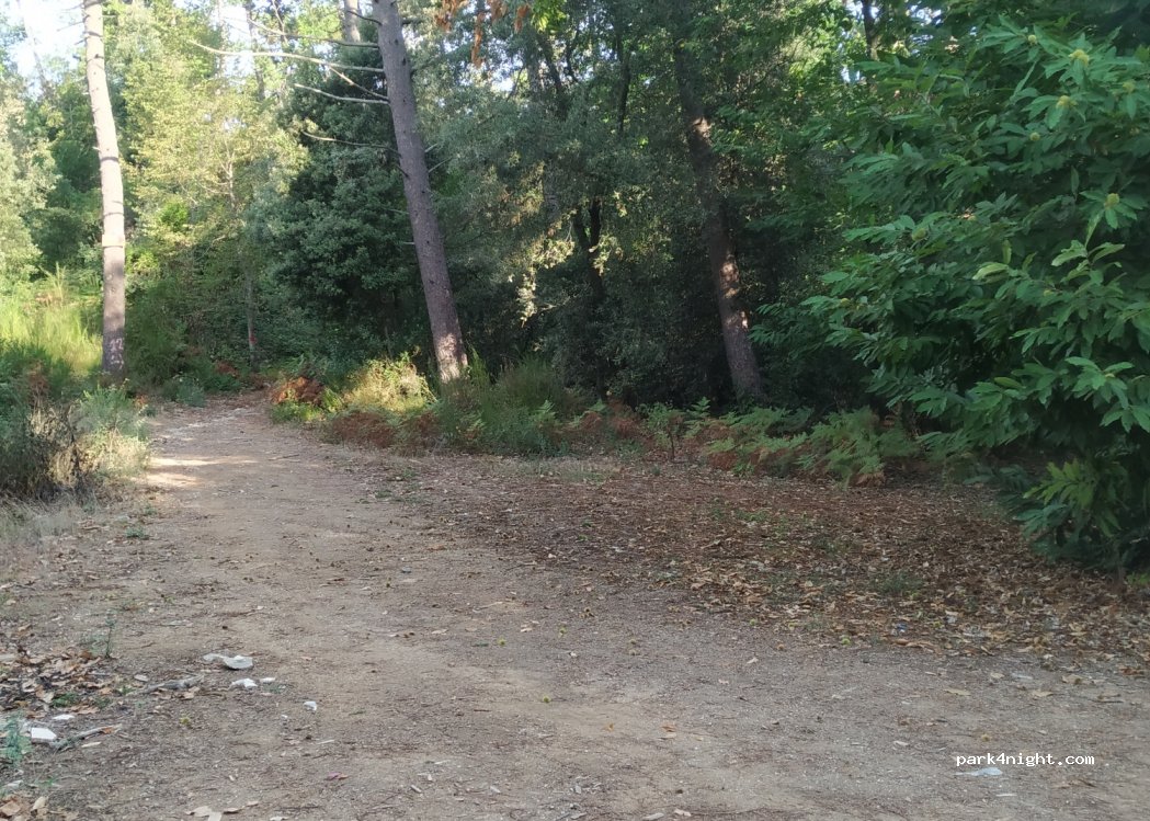 (56017) San Giuliano Terme - — foto