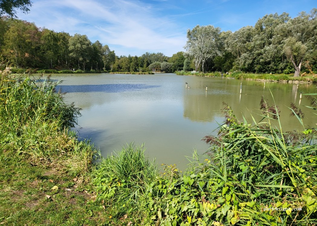 (59950) Auby - Rue Parmentier — foto