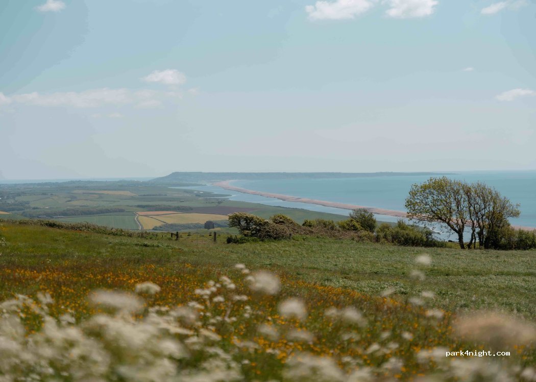 (DT3 4JY) Abbotsbury - B3157 — foto