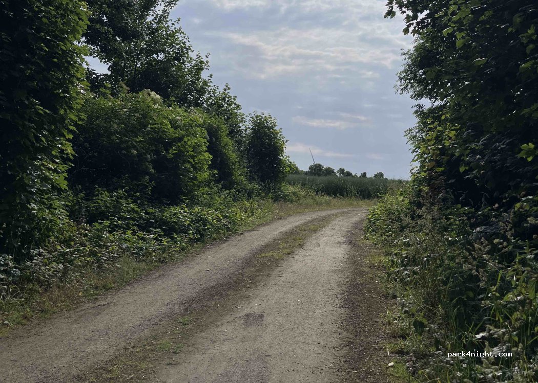 (52382) Niederzier - Unnamed road — foto 2
