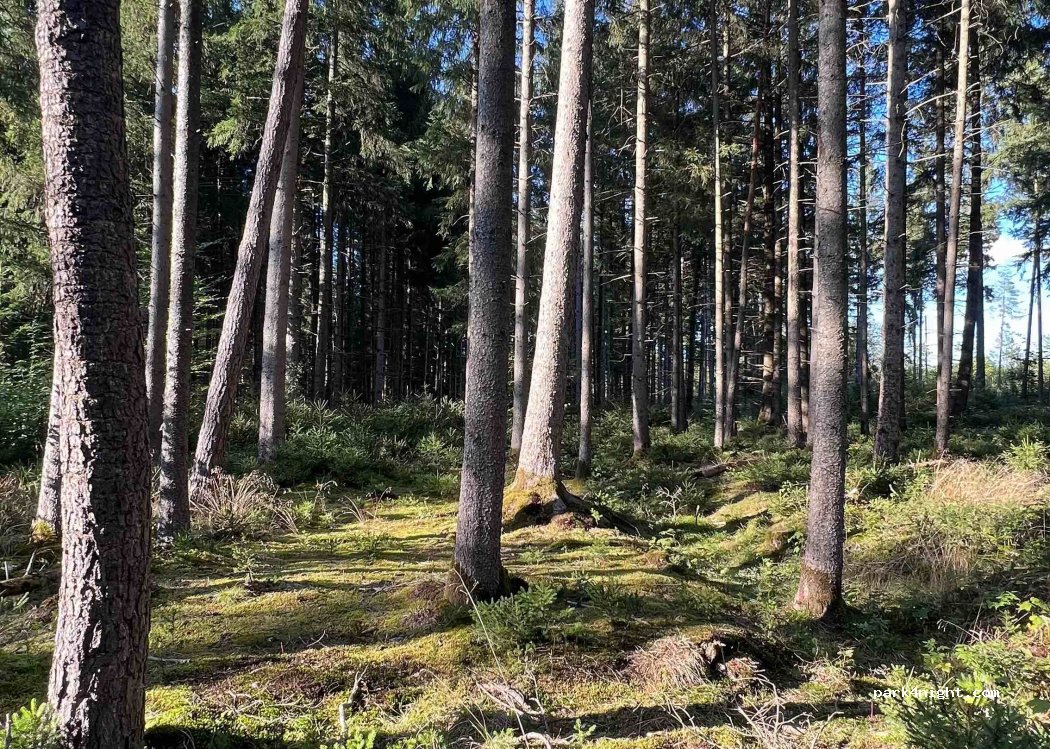(82024) Taufkirchen - — foto