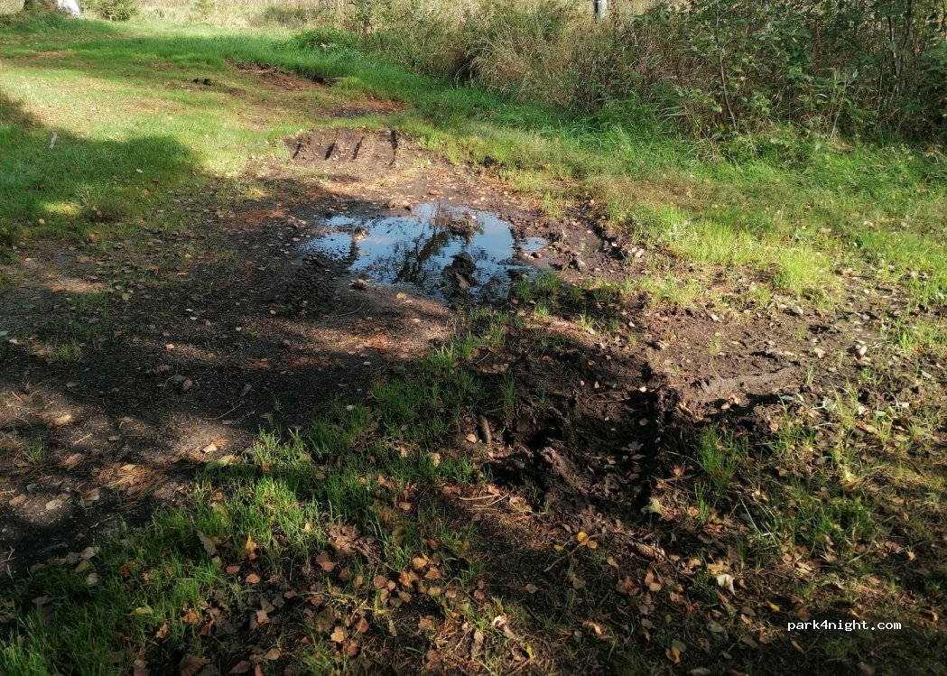 (455 96) Dingle - Unnamed Road — foto 4