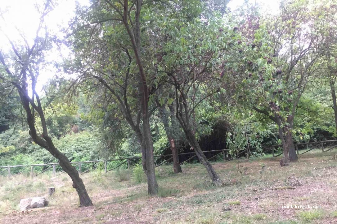 (35041) Battaglia Terme - Viale Degli Alpini — foto