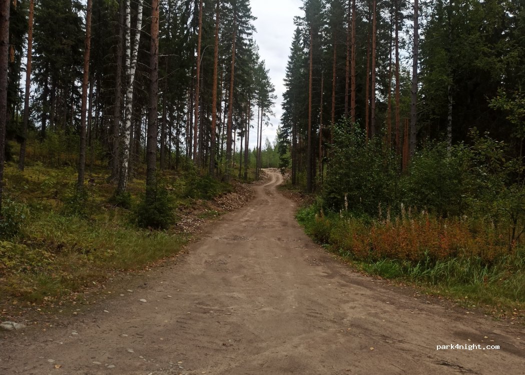 (41360) Laukaa - 100 Hitonhaudantie — foto 2