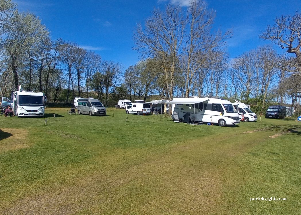ValkeO | Camping bij Koningshof Egmond — foto 5