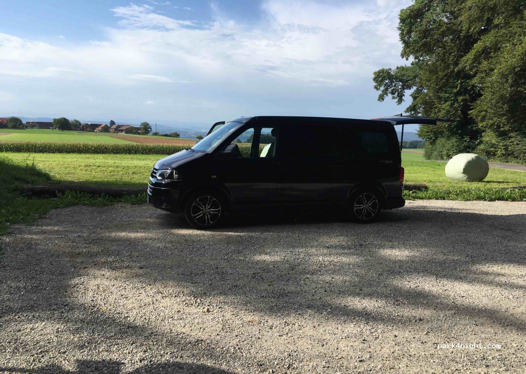 (8564) Wäldi - — foto