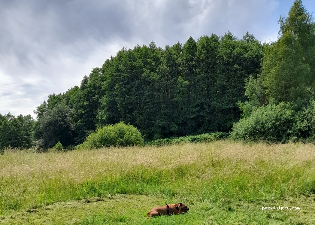 (54120) Bertrichamps - Unnamed road — foto 4