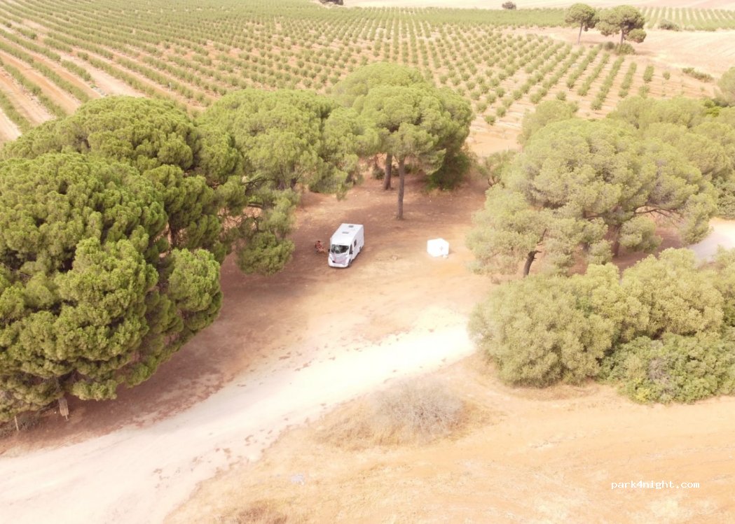 (41110) Bollullos de la Mitación - Unnamed Road — foto